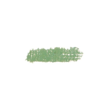 055 - Verde bosco chiaro