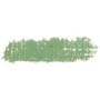 055 - Verde bosco chiaro