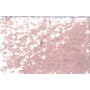 055 - Rosa grigio chiaro - Jaxon