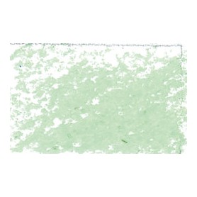 041 - Verde pallido - Jaxon