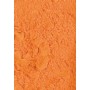 021 - Rosso di Cadmio arancio 100g