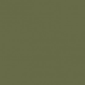 041 - Verde oliva
