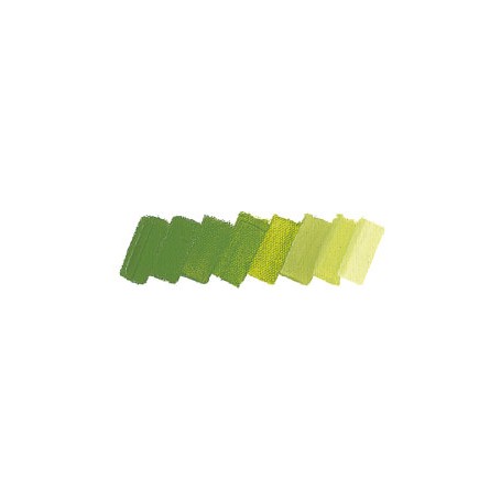 064 - Verde vescica
