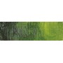 035 - Verde vescica permanente