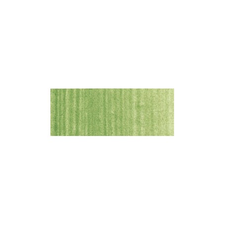 081 - Terra verde