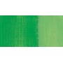 043 - Verde brillante chiaro