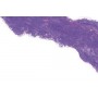 072 - Violetto di Cobalto 364