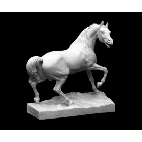 Cavallo maschio - statua - 102i