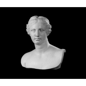 Venere di Milo - Busto - 128a